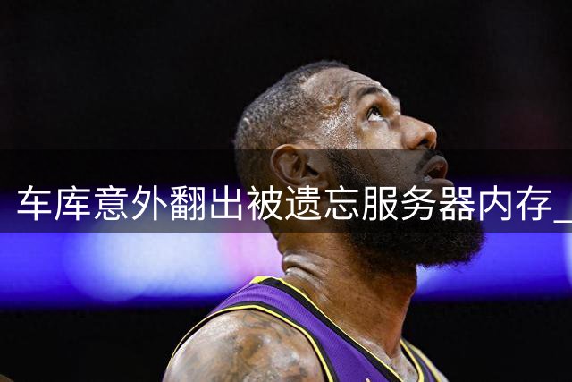 车库意外翻出被遗忘服务器内存 总估值达7万元引惊叹